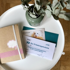 Weiterbildung mit der Bildungsprämie: Erfahrungsbericht und Tipps